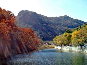 新澳天天开奖资料大全旅游团，人皮手札